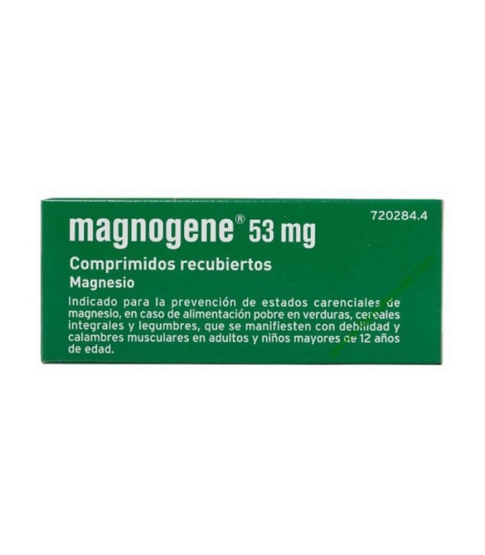 MAGNOGENE 53 MG 45 COMPRIMIDOS RECUBIERTOS