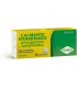 CALMANTE VITAMINADO 20 COMPRIMIDOS